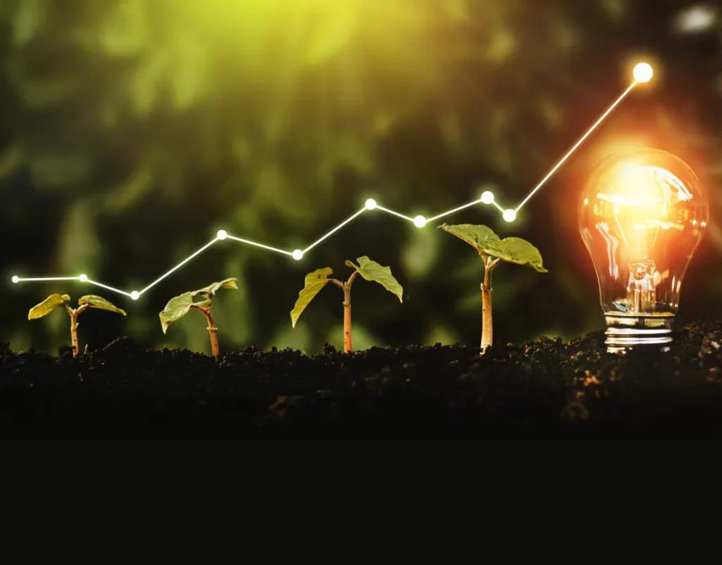 img finance and investment to triple renewables by 2030