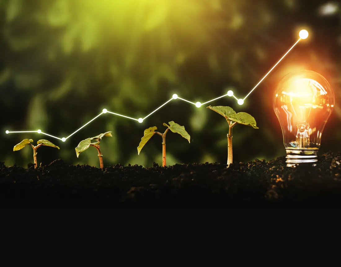 img finance and investment to triple renewables by 2030