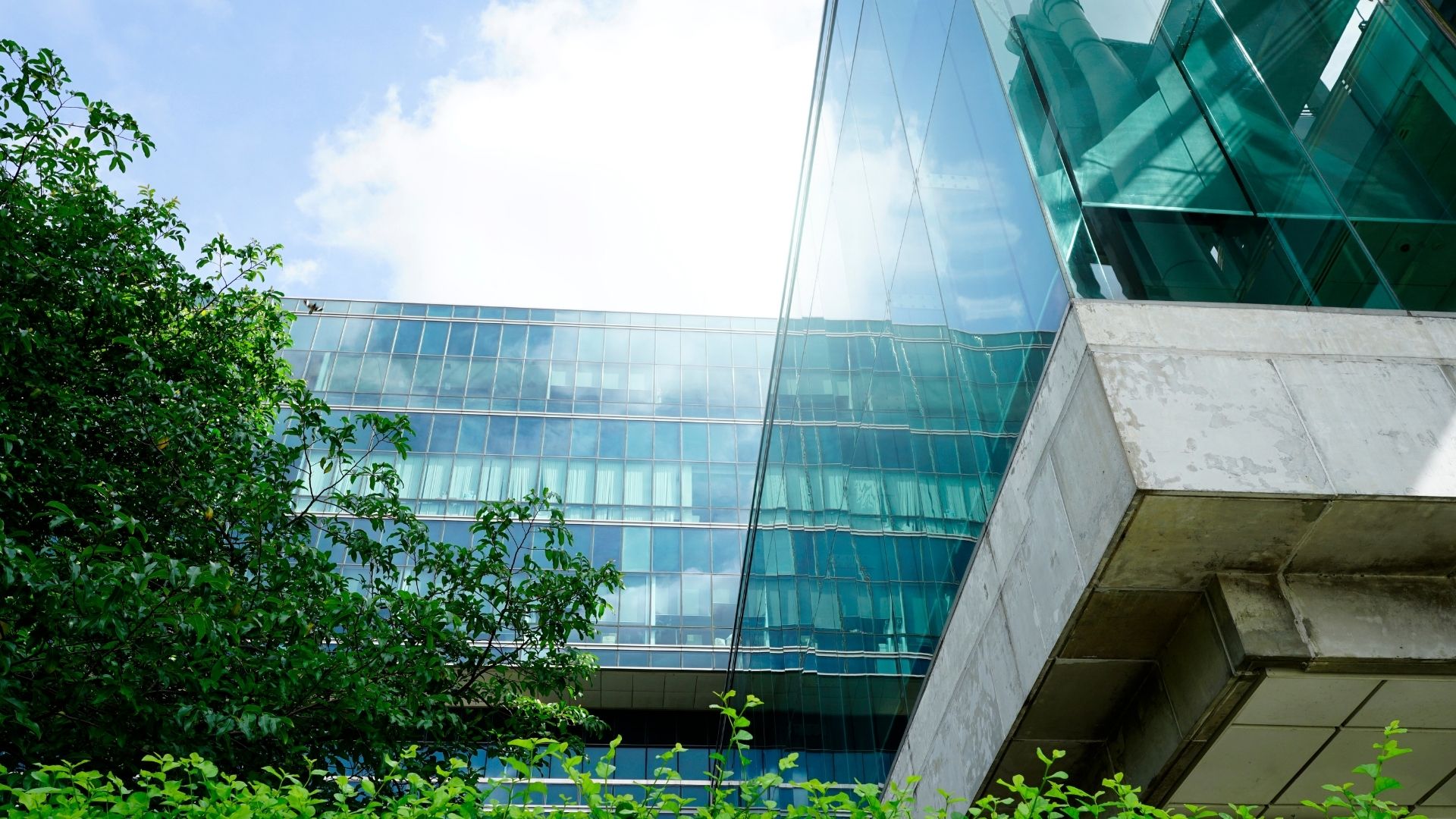 CDx Webinar June 2025 Building Internal Momentum for Decarbonization (3)